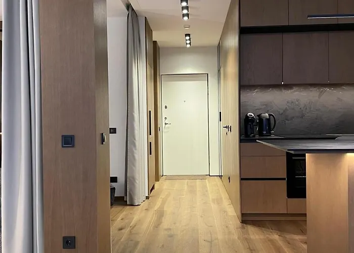 Premium With Terrace In Apartment Palanga