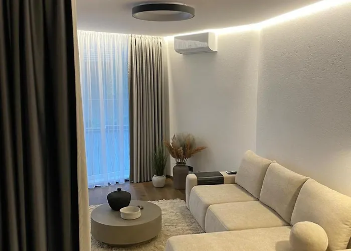 Premium With Terrace In Apartment Palanga