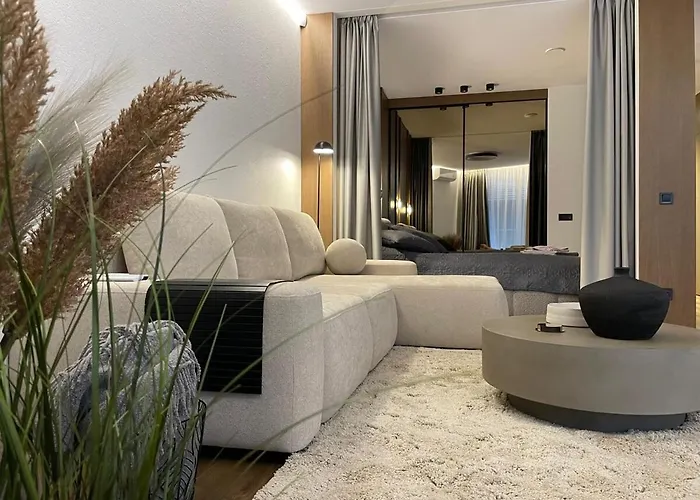 Premium With Terrace In Apartment *